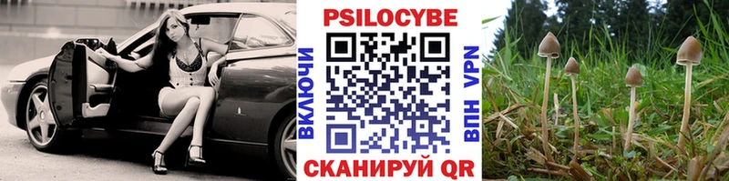 Галлюциногенные грибы Magic Shrooms  Купить где  Киржач 